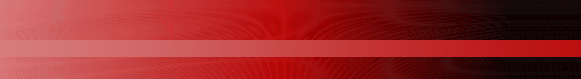 Stedman LTD Logo